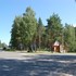 Осиповичи . Храм иконы Божией Матери «Всех Скорбящих Радость»