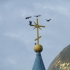 Горкі. Храм Ушэсця Гасподняга