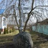 Косіна. Храм Успення Божай Маці